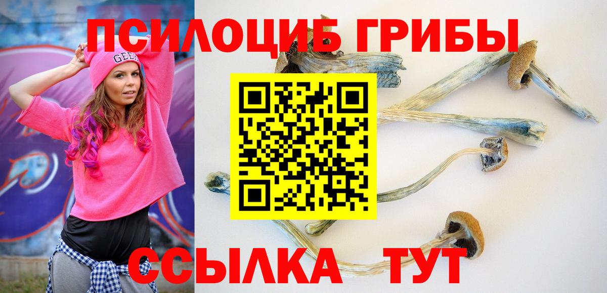 Ростов Великий  Галлюциногенные грибы Cubensis  Галлюциногенные грибы MAGIC MUSHROOMS  Вход с VPN 
